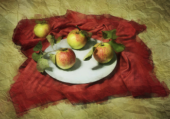 Äpfel / ***