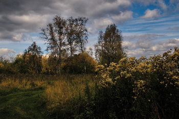 Herbst Nachmittag. / ***