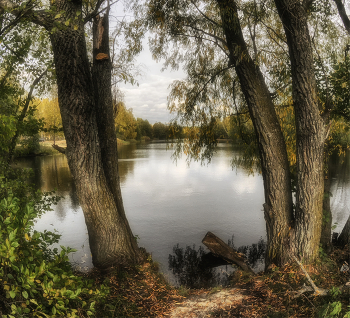 Herbst-Teich / ***