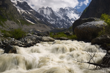 Mountain Stream / ***