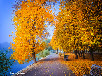 Indian Summer. / ***