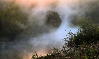 In der Morgendämmerung. / ***