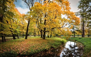 Im Herbst des Parks ... / ***