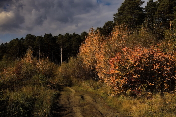 Herbst Nachmittag. / ***