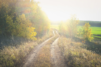 Straße zum Herbst / ***