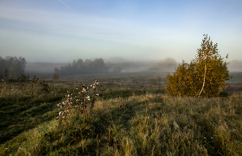 Herbststimmung ... / .....