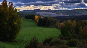 Herbst-Skizzen / ***