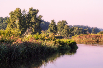 Am Ufer des Flusses / ***