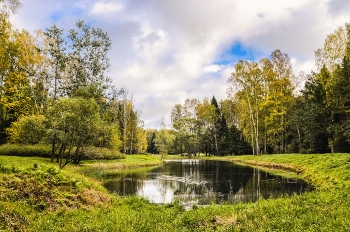 Herbst in Pawlowsk / ***