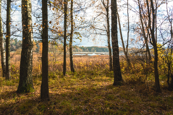 Herbst-Skizzen / ***