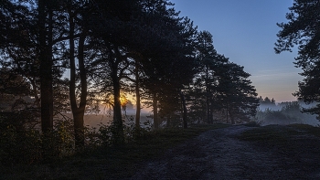 Morgen früh ... / ***