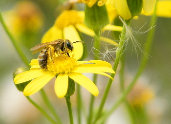 Bei der Arbeit / ***