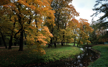 Im Herbst des Parks ... / ***