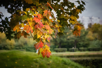 Herbstfarben ... / ***