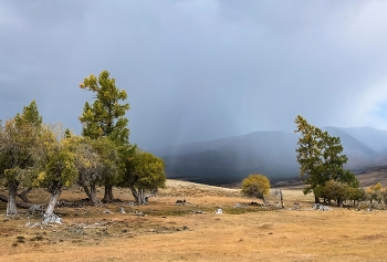Vor dem Sturm / ***