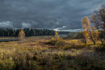 Herbst-Skizzen / ***