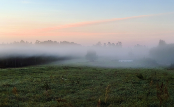 Nebliger Morgen / ***