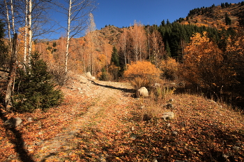 irgendwo in den Bergen / ***