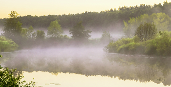 Morgennebel. / ***