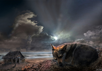 Greyhound Träume ... / ***