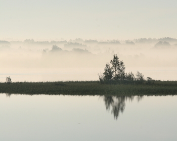 Nebel über dem Fluss / ***