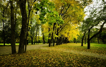 Herbst in der Stadt / ***