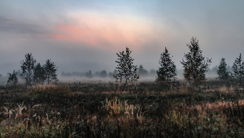 &nbsp; / .............