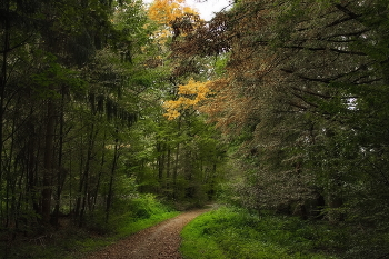 Herbstfarben / ***