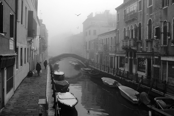 Nebel zerstreut / Venice
