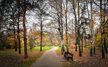 Im Herbst des Parks ... / ***