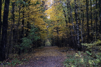 Herbst-Outfit / ***