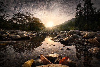 Sunny Autumn Day In Chakvistskali River / ***