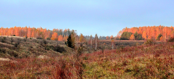 Panorama der Herbst / ***