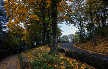 Herbst in der Stadt / ***