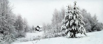 Ferienhaus im Wald. / ***