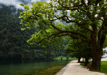 Die Promenade / ***