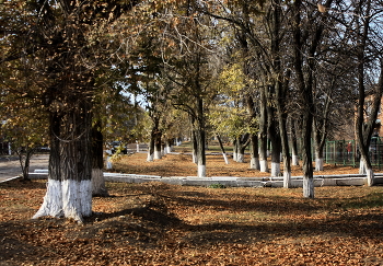 Herbst / ***