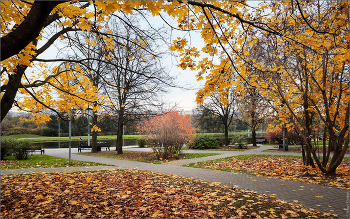 Im Herbst des Parks ... / ***