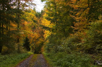 letzten Tag des Monats Oktober / ***