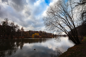 Im Herbst des Parks ... / ***