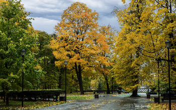 Spaziergang im Park / ***