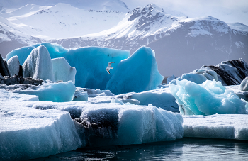 Jökulsárlón / ***