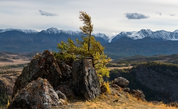 Altai Herbst / ***