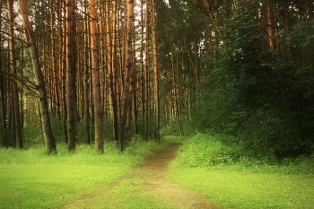 Abend Promenade / ***