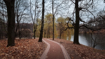 Im Herbst des Parks ... / ***