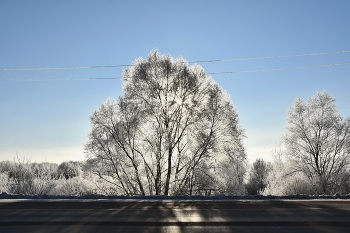 Vorbereitung für Winter / ***