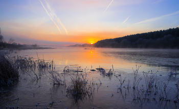 Frostigen Morgen . / ***