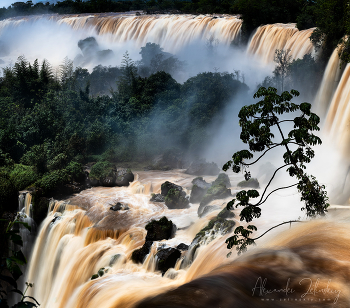 Iguazu Wasserfälle / ***