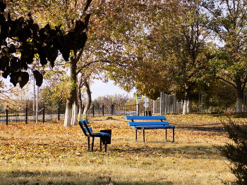 Im Herbst des Parks ... / ***