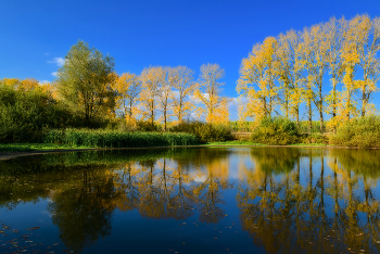 Über Herbst ... / ***